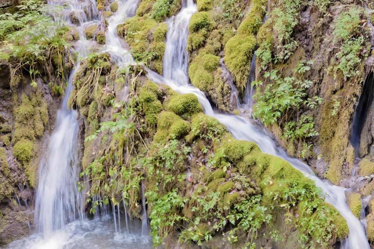 Waterfall & Pool Ρίβα ντελ Γκάρντα Εξωτερικό φωτογραφία