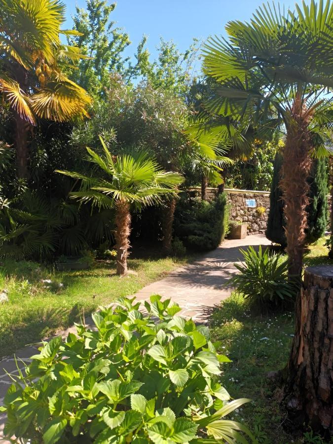 Waterfall & Pool Ρίβα ντελ Γκάρντα Εξωτερικό φωτογραφία